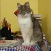 Отзыв от Лидия Жданова